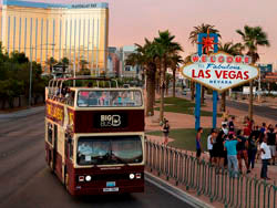 Big Bus Tours