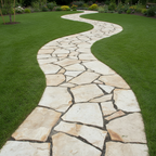 Planchoncillo Amarillo