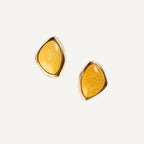 Pendientes BASIL