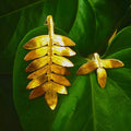 Pendientes Botánicos