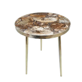 Petrified Wood Agate Round Edge Side Coffee Table