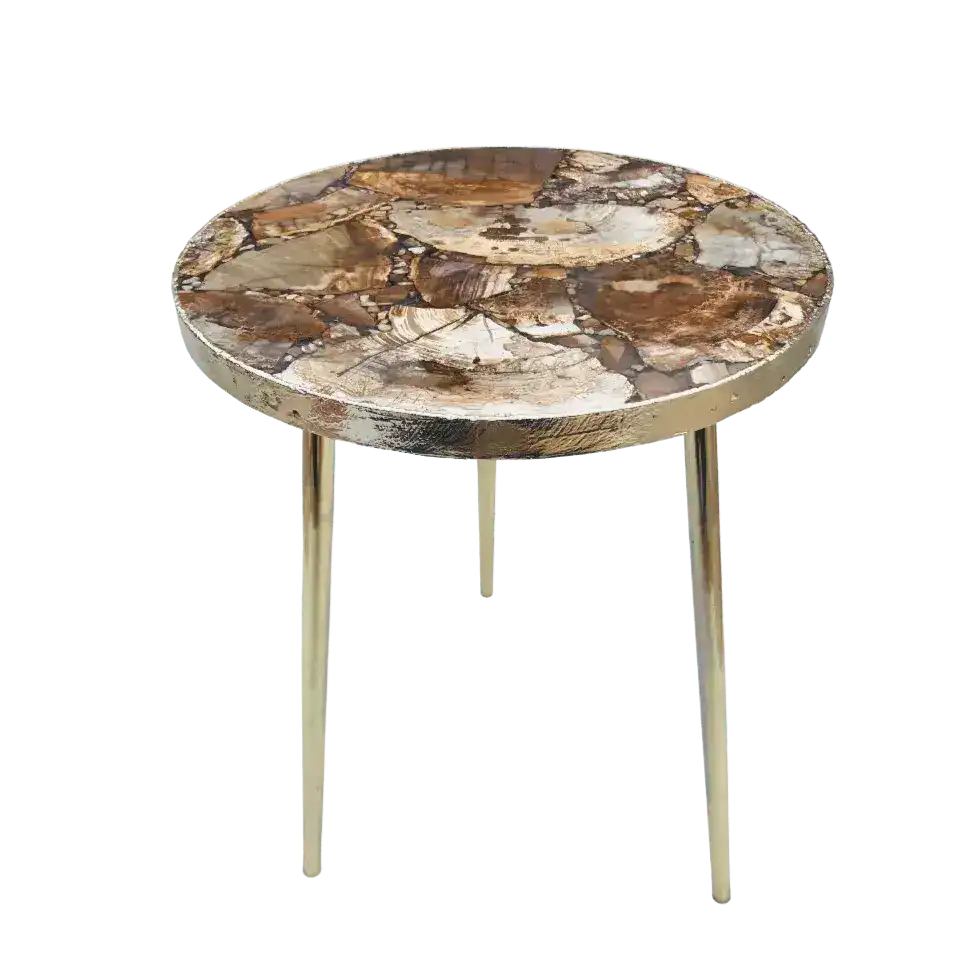 Petrified Wood Agate Round Edge Side Coffee Table