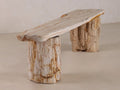 Petrified Wood Bench | One-of-a-kind