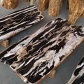 Petrified Wood & Onyx Table