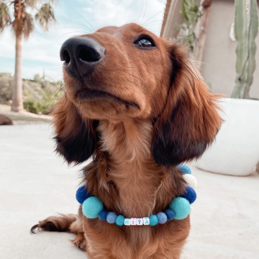Collare personalizzato per cani con pon pon - Blu