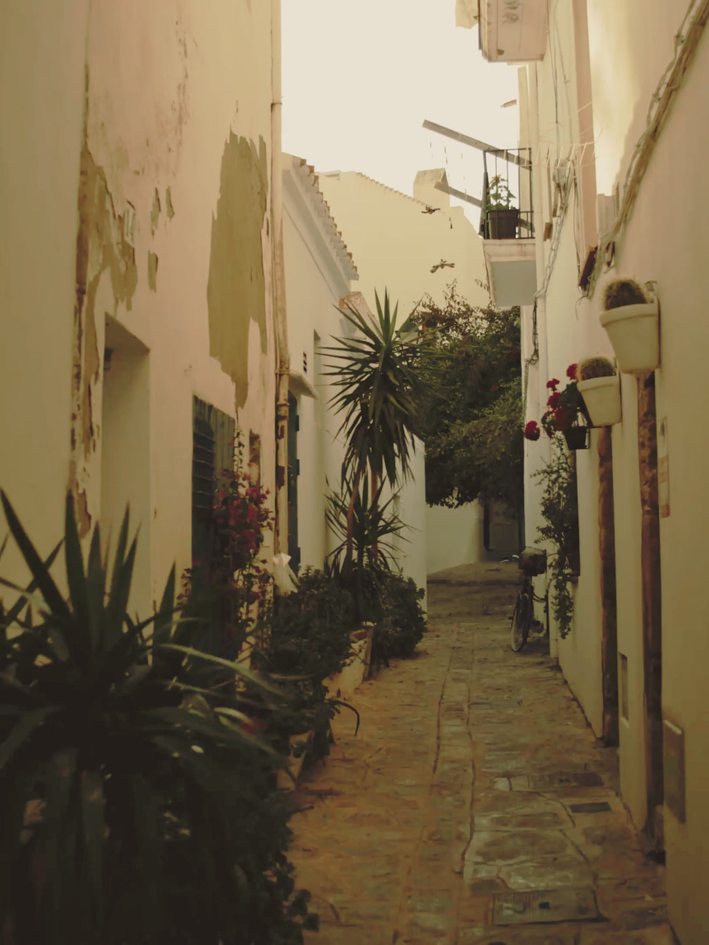 Day 5: Explore the Streets of Ibiza Town