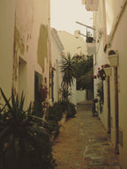 Day 5: Explore the Streets of Ibiza Town