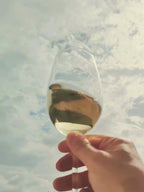 Day 4: Full-Day Stroll in Santa Gertrudis