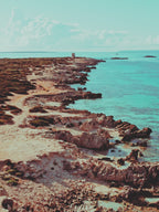 Day 1: First Swim of the Year at Ses Salines Beach