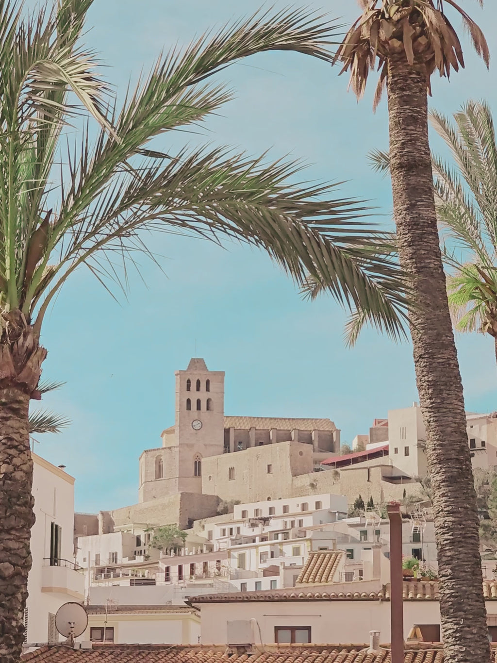 Day 2: Historic Visit to Dalt Vila