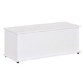 39.5" Lift Top Storage Chest Organizer with 2 Safety Hinges & Flip-Top Lid, White