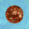 Red Agate Countertop Lazy Susan Centerpiece