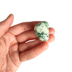 Rodado de Ágata Árbol