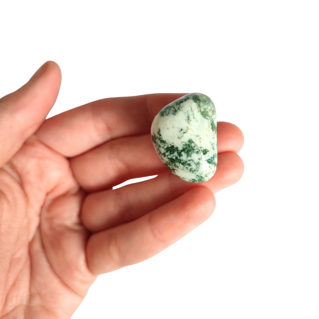 Rodado de Ágata Árbol