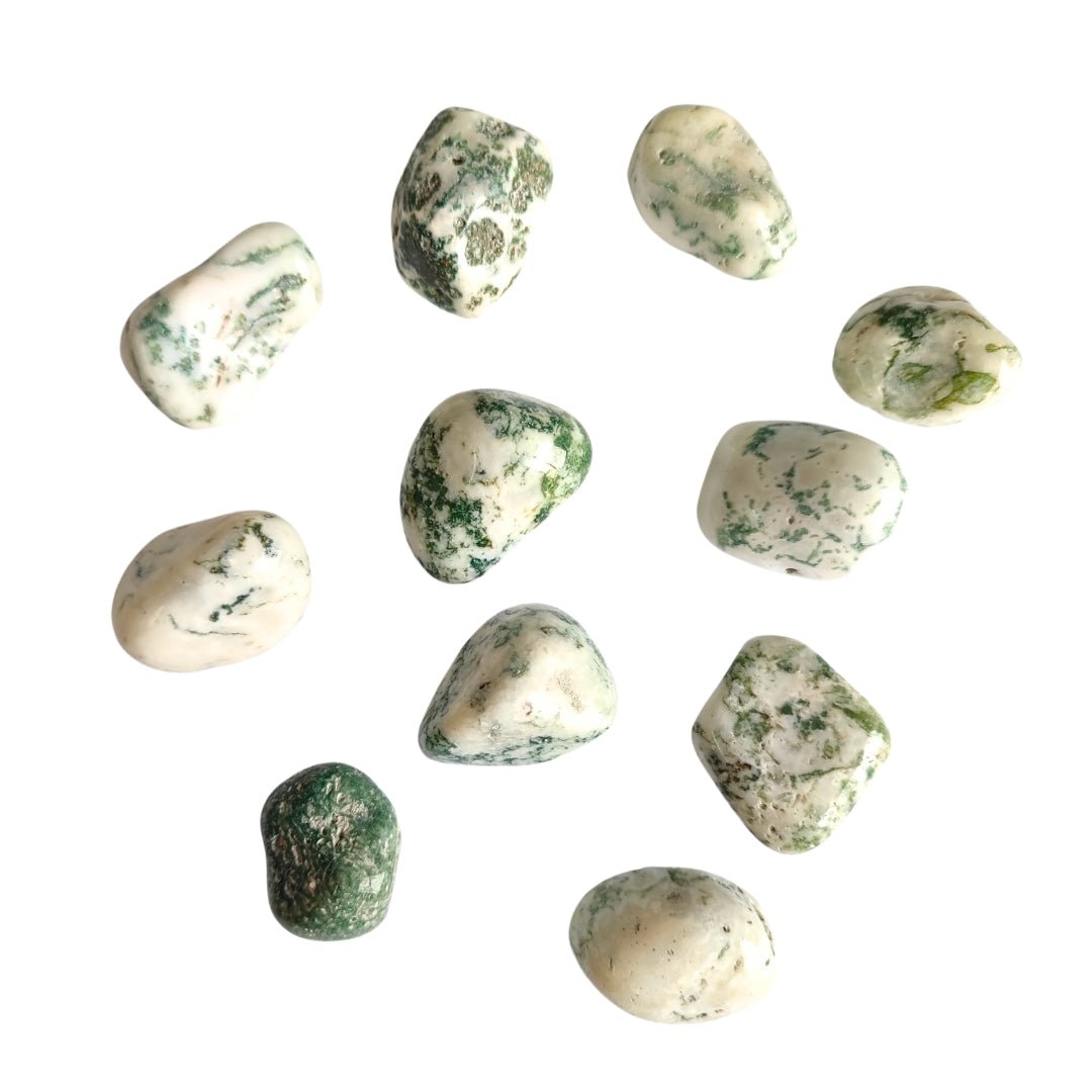 Rodado de Ágata Árbol