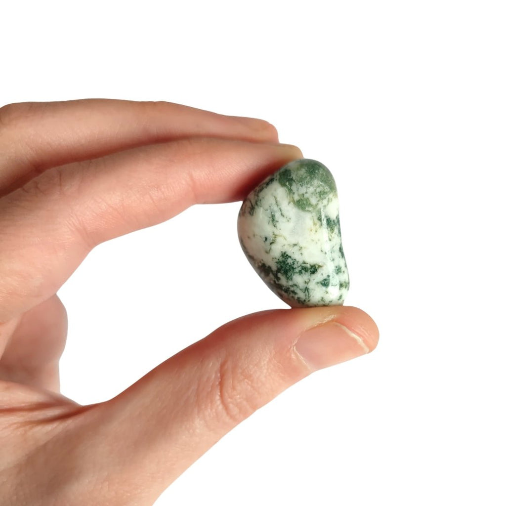 Rodado de Ágata Árbol