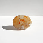 Rodado de Ágata Sardonice