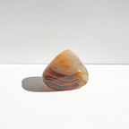 Rodado de Ágata Sardonice