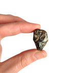 Rodado de Ágata Turritella