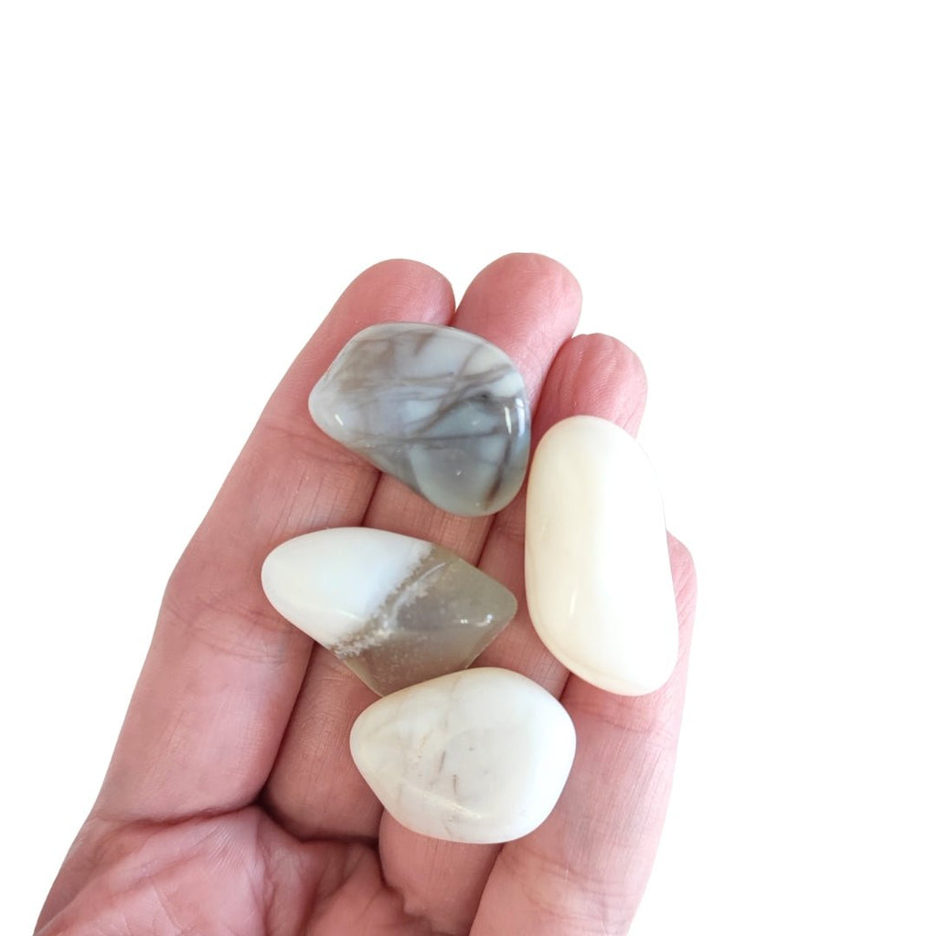 Rodado de Ópalo Blanco