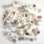 Rodado de Ópalo Blanco