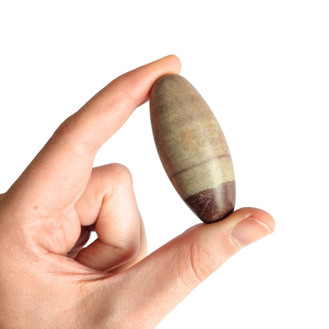 Rodado de Shiva Lingam - Amuleto de Fertilidad