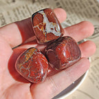 Rodado Grande de Jaspe Sardo - Edición Imperfecta