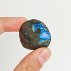Rodado Palm Stone de Labradorita