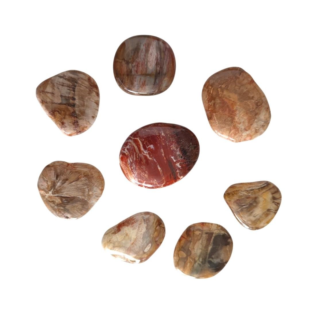 Rodado Plano de Xilópalo