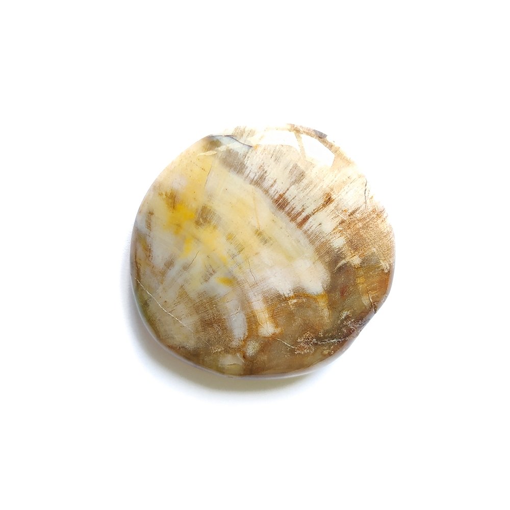 Rodado Plano de Xilópalo