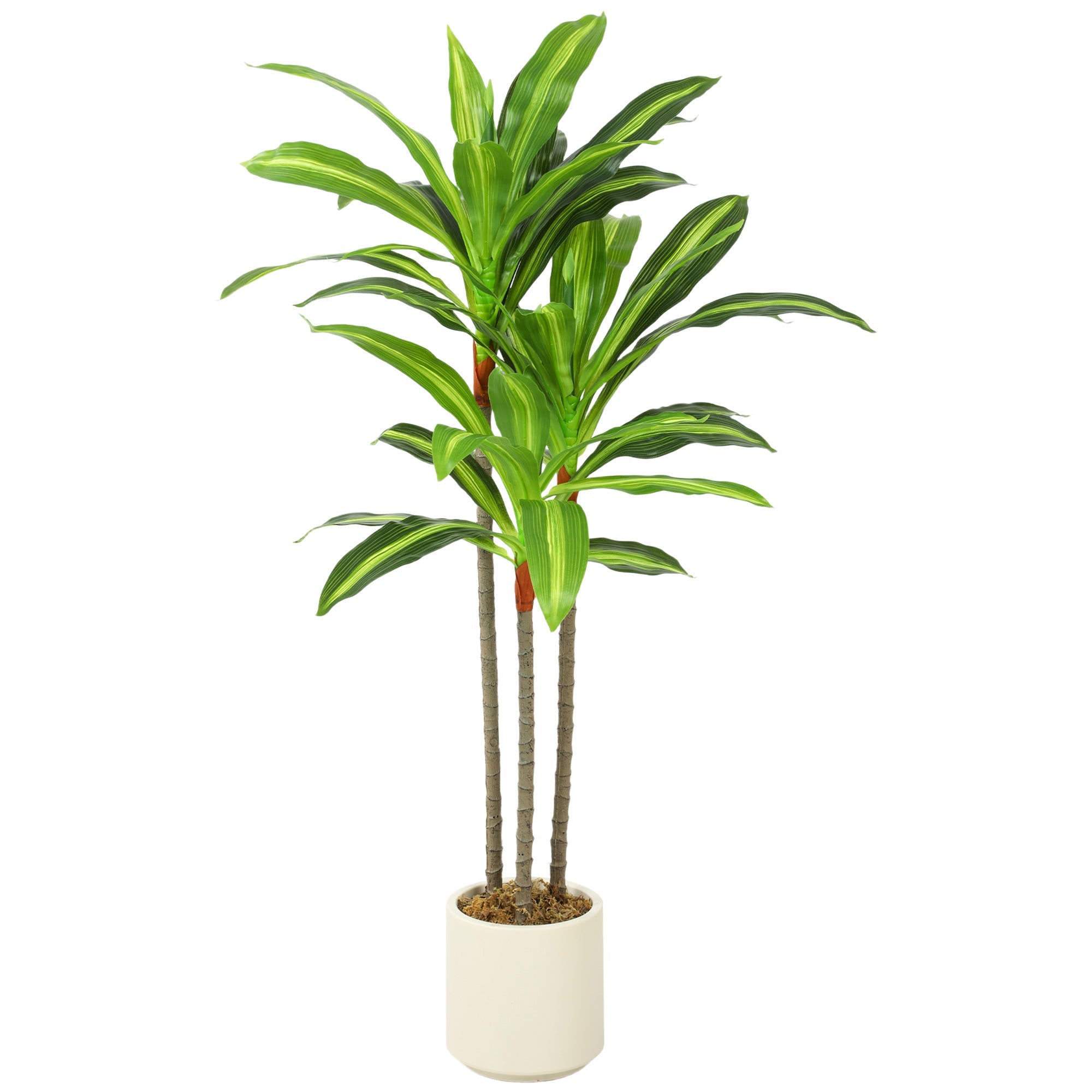 90cm Lifelike Artificial Dracaena Tree with Bendable Trunk & White Planter, Green
