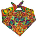 Ornate Color Journey Bandana