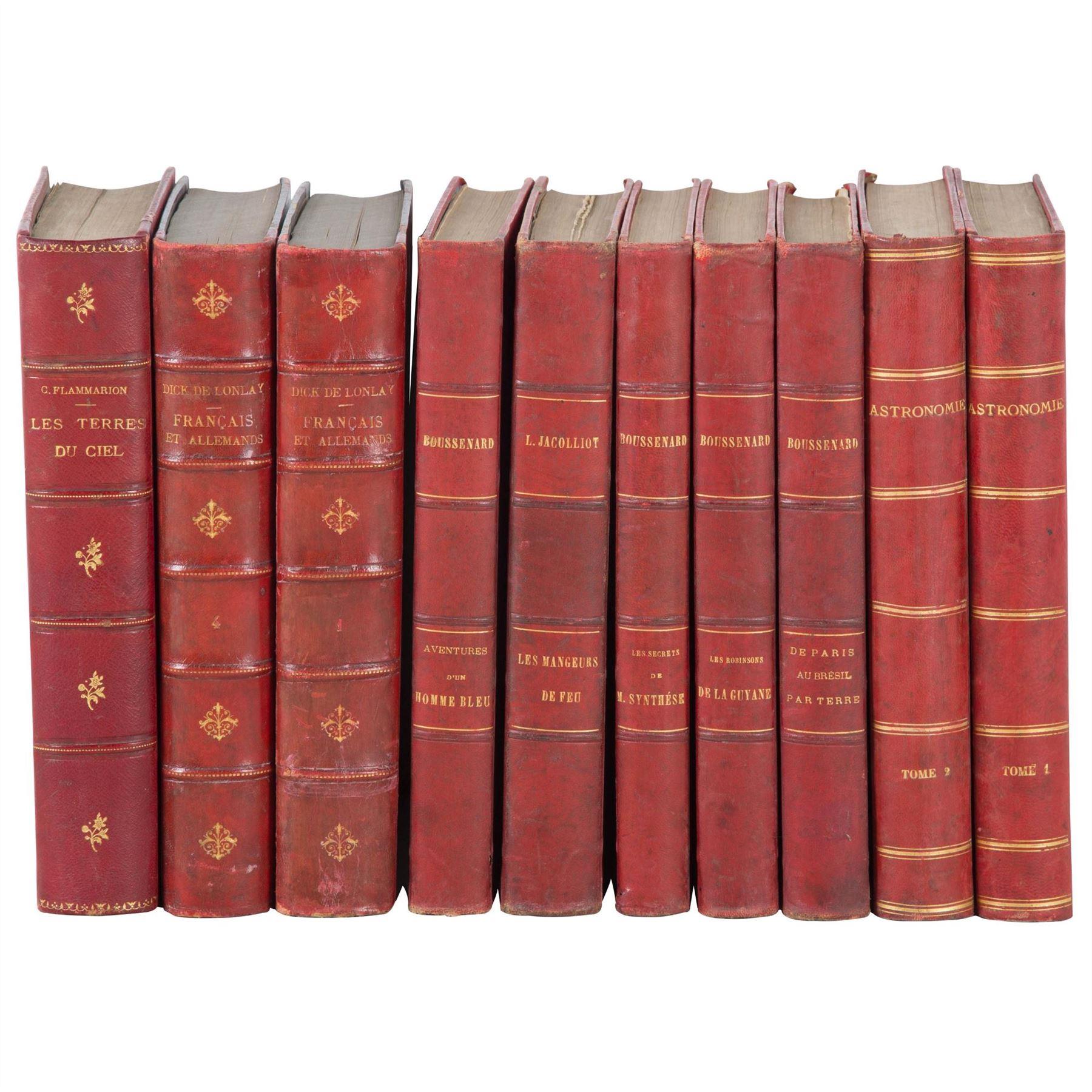 Set of Ten 19th Century French Red Leather Book Spines By Sister Parish Design