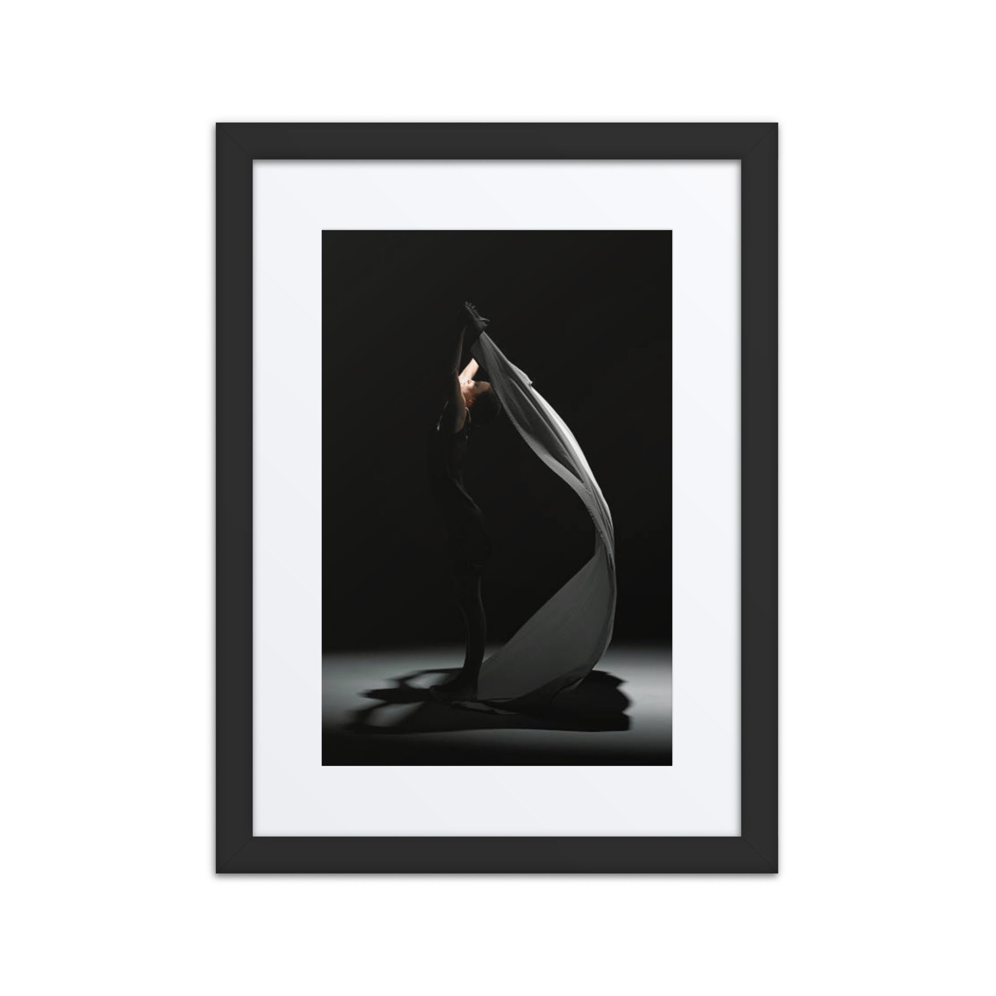 Silhouette Symphony | Dance-Art Framed Poster #28 (21.5" H x 17.5" W)
