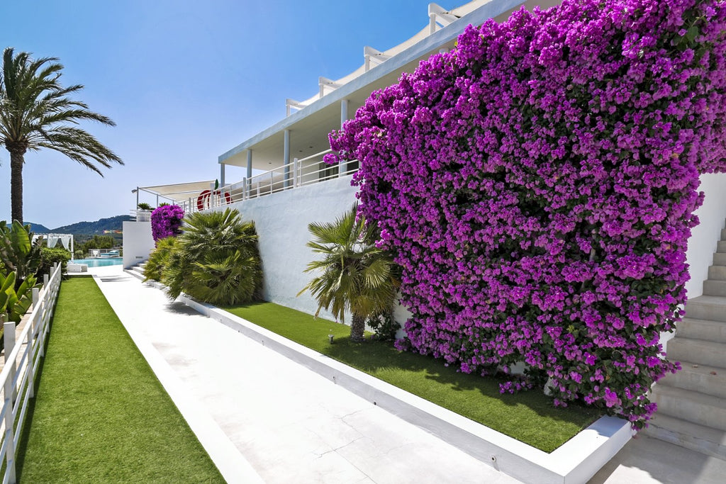 Modern Luxury Ibiza Villa with Huge Kitchen, Stunning Views and Spacious En-Suite Bedrooms near Es Cubells
