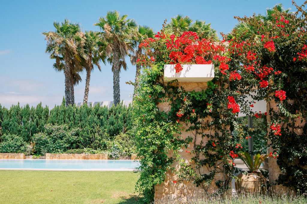Dreamy Spacious Ibiza Villa with Modern Stylish Interiors, Beautiful Garden and Gorgeous Cala Comte Sunset Sea Views