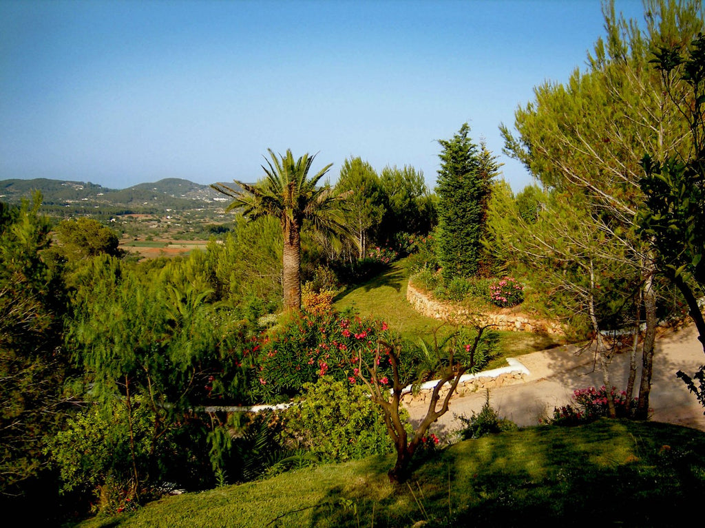 Secluded Peaceful Ibiza Villa with Panoramic Sea Views and a Huge Outdoor Space on Top of Atzaró Mountain near Santa Eulalia