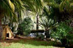 Secluded Peaceful Ibiza Villa with Panoramic Sea Views and a Huge Outdoor Space on Top of Atzaró Mountain near Santa Eulalia