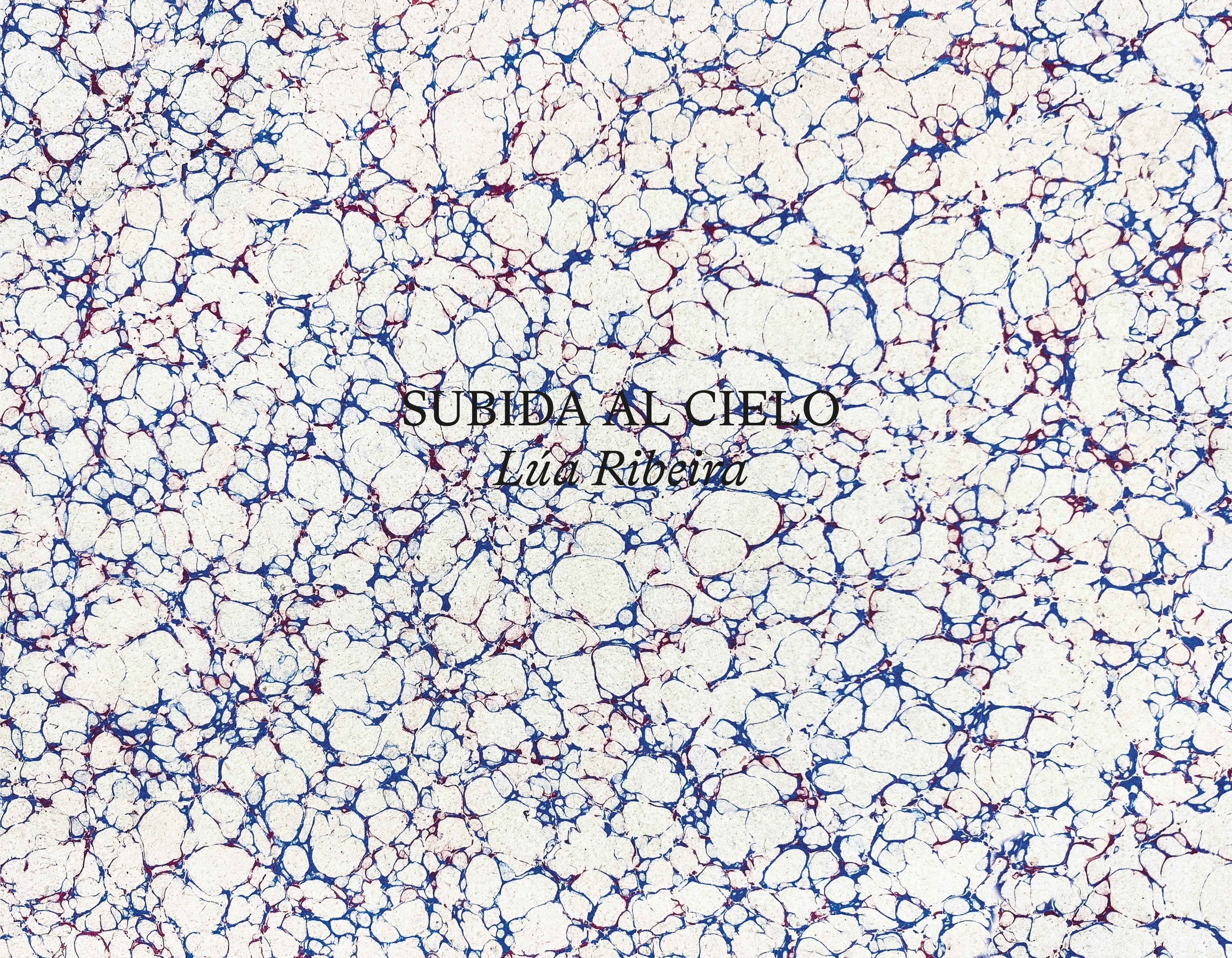 Subida al cielo
