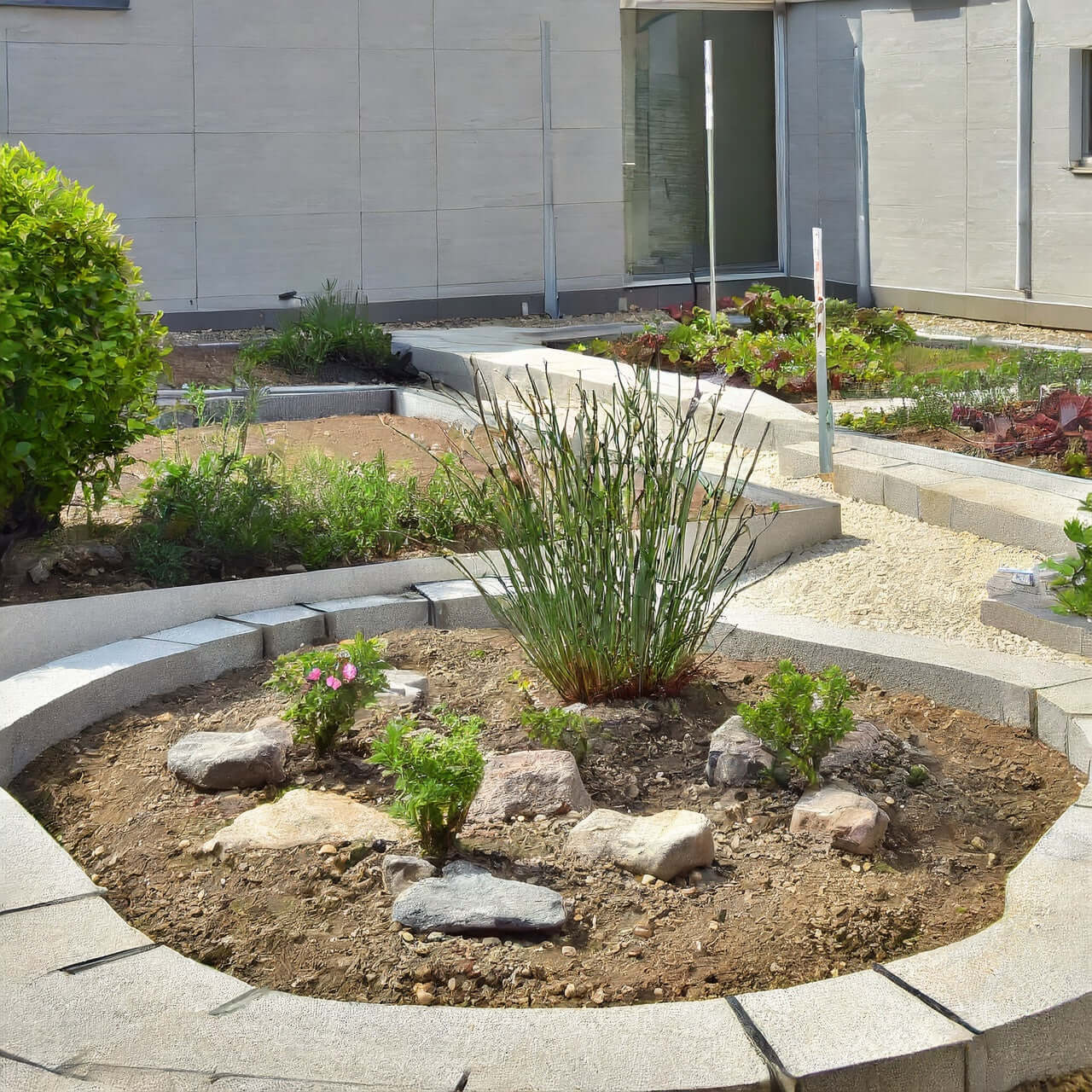 Sustrato Básico Jardín