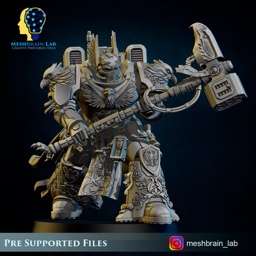 Master of the order and Sworn Guard squad, MeshBrain Lab