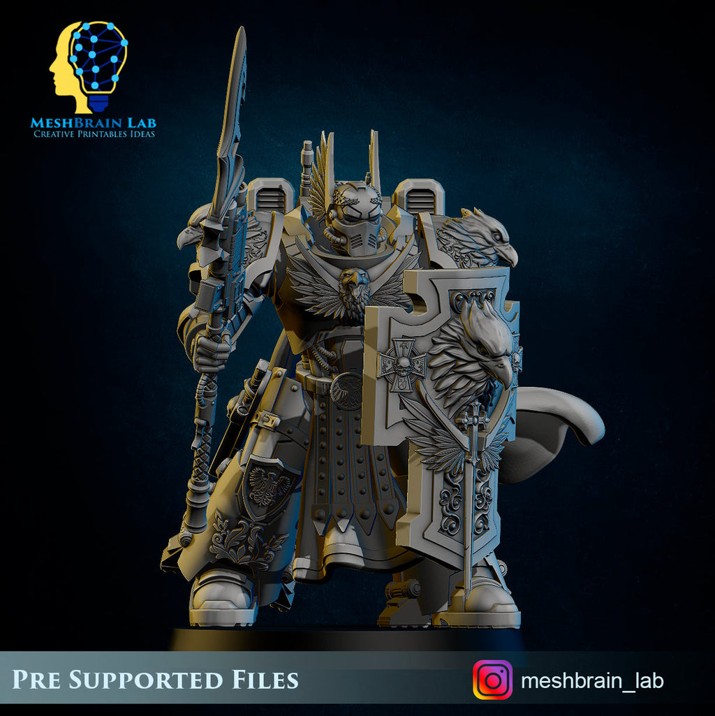 Master of the order and Sworn Guard squad, MeshBrain Lab