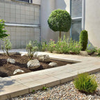 Sustrato Básico Jardín