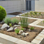 Sustrato Básico Jardín