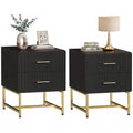 Modern Nightstands Set of 2, Bedside Tables with 2 Drawers and Fluted Panels, Black