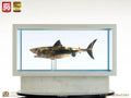 Tiburón Maqueta 1/18 Jaws Bronze 60 cm