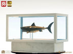 Tiburón Maqueta 1/18 Jaws Bronze 60 cm