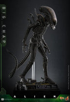 Alien Figura Movie Masterpiece 1/6 Big Chap 36 cm