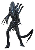 Alien Movie Masterpiece Figura 1/6 Alien Warrior (Deluxe Version) 39 cm