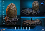 Alien Movie Masterpiece Figura 1/6 Alien Warrior (Deluxe Version) 39 cm